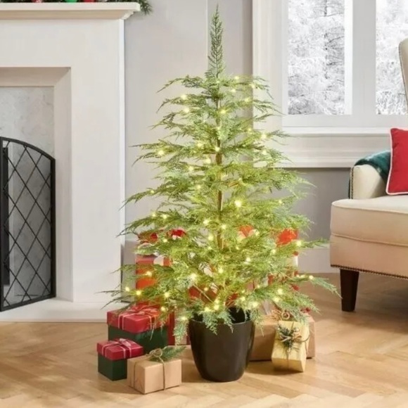 My Texas House Potted 4' Pre-Lit Cypress Artificial Christmas Tree, 100 LED NEW - Picture 1 of 7